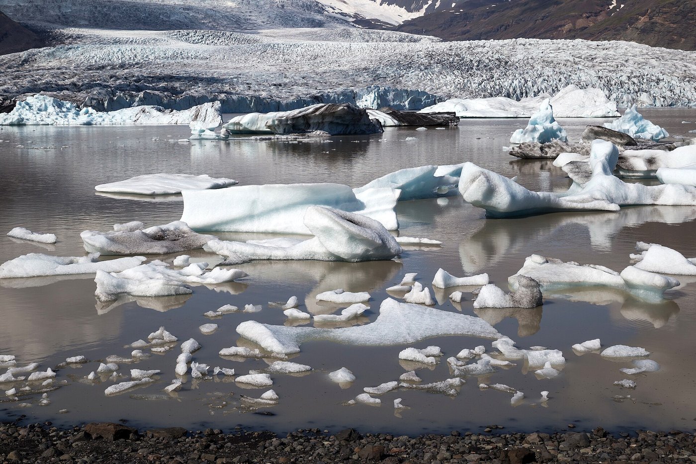 Icebergs in still water